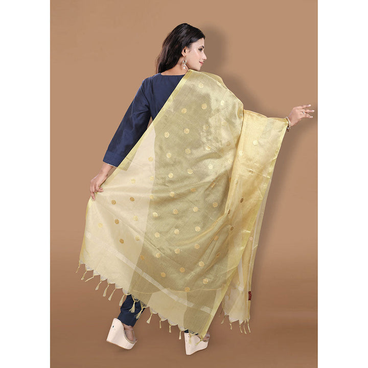 SALWAR STUDIO Gold Zari Woven Banarasi Brocade Dupatta