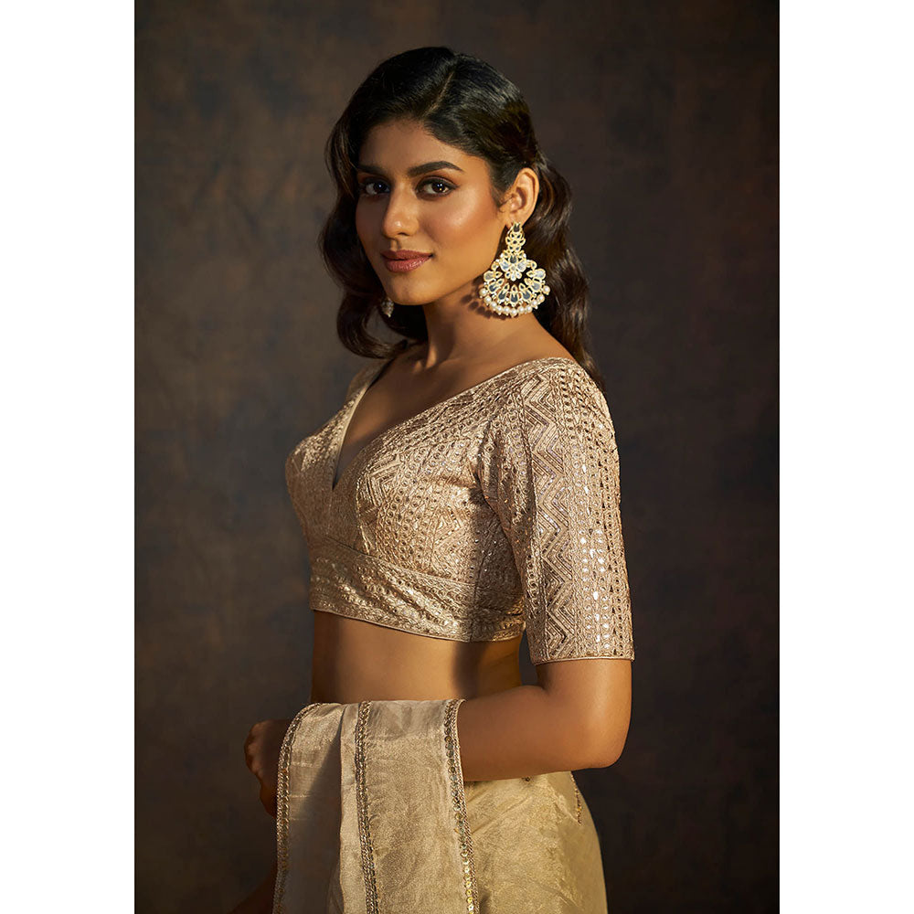 SALWAR STUDIO Beige Sequin Embellished and Embroidered Plunging Neck Stitched Blouse