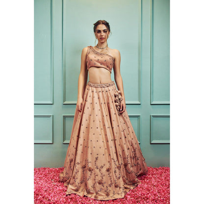 SAMMOHI BY MOKSHA & HIRAL Peach Lehenga With Stitched Blouse And Attached Dupatta (Set of 2)