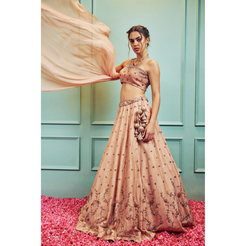 SAMMOHI BY MOKSHA & HIRAL Peach Lehenga With Stitched Blouse And Attached Dupatta (Set of 2)