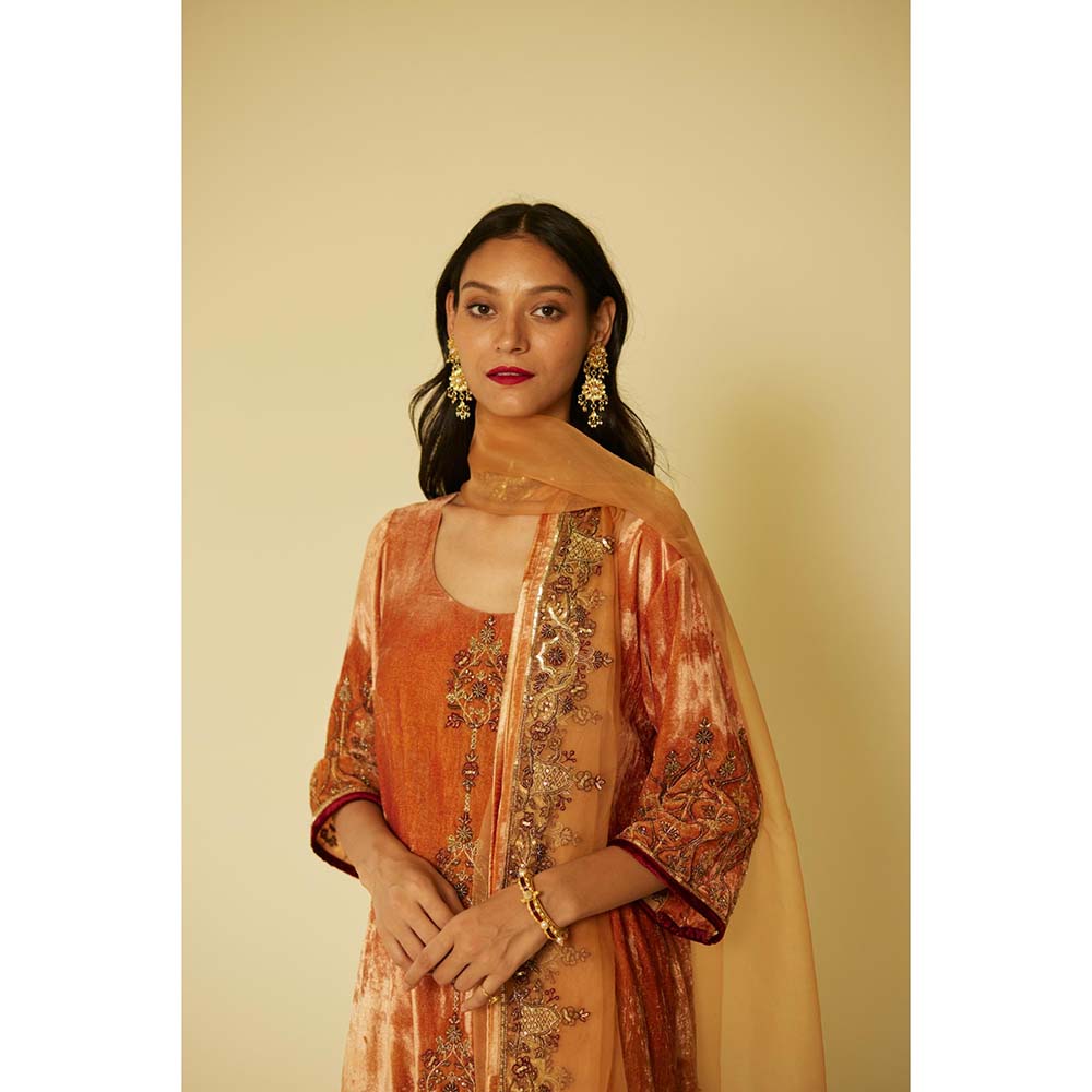 Sarang Kaur Orange Bageecha Kurta with Palazzo (Set of 2)