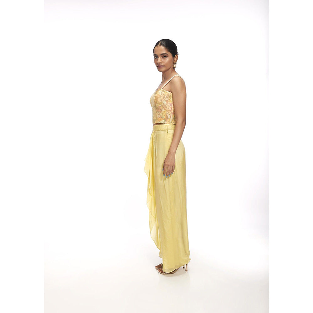 SAYAANIKA Iris Yellow Floral Embellished Top and Skirt (Set of 2)