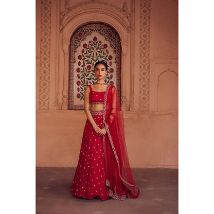 Seema Anand Afra Lehenga with Choli and Dupatta (Set of 3)