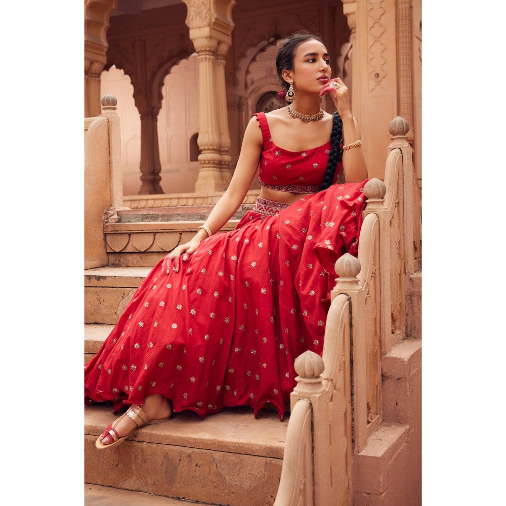 Seema Anand Afra Lehenga with Choli and Dupatta (Set of 3)