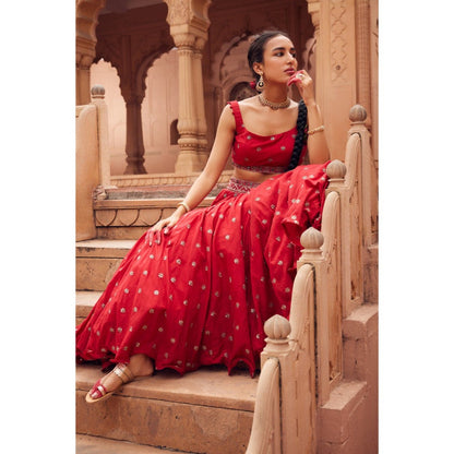 Seema Anand Afra Lehenga with Choli and Dupatta (Set of 3)