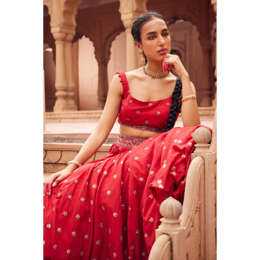 Seema Anand Afra Lehenga with Choli and Dupatta (Set of 3)