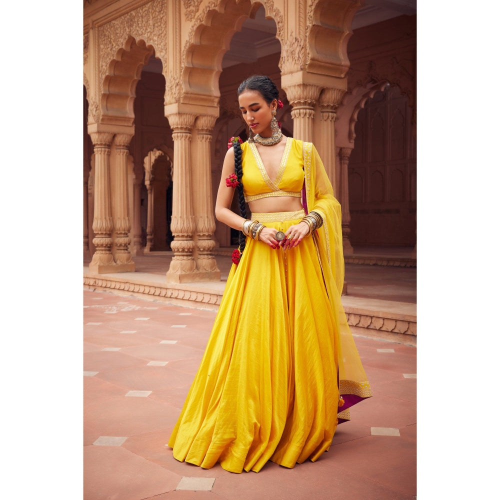 Seema Anand Dariya Lehenga with Choli and Dupatta (Set of 3)