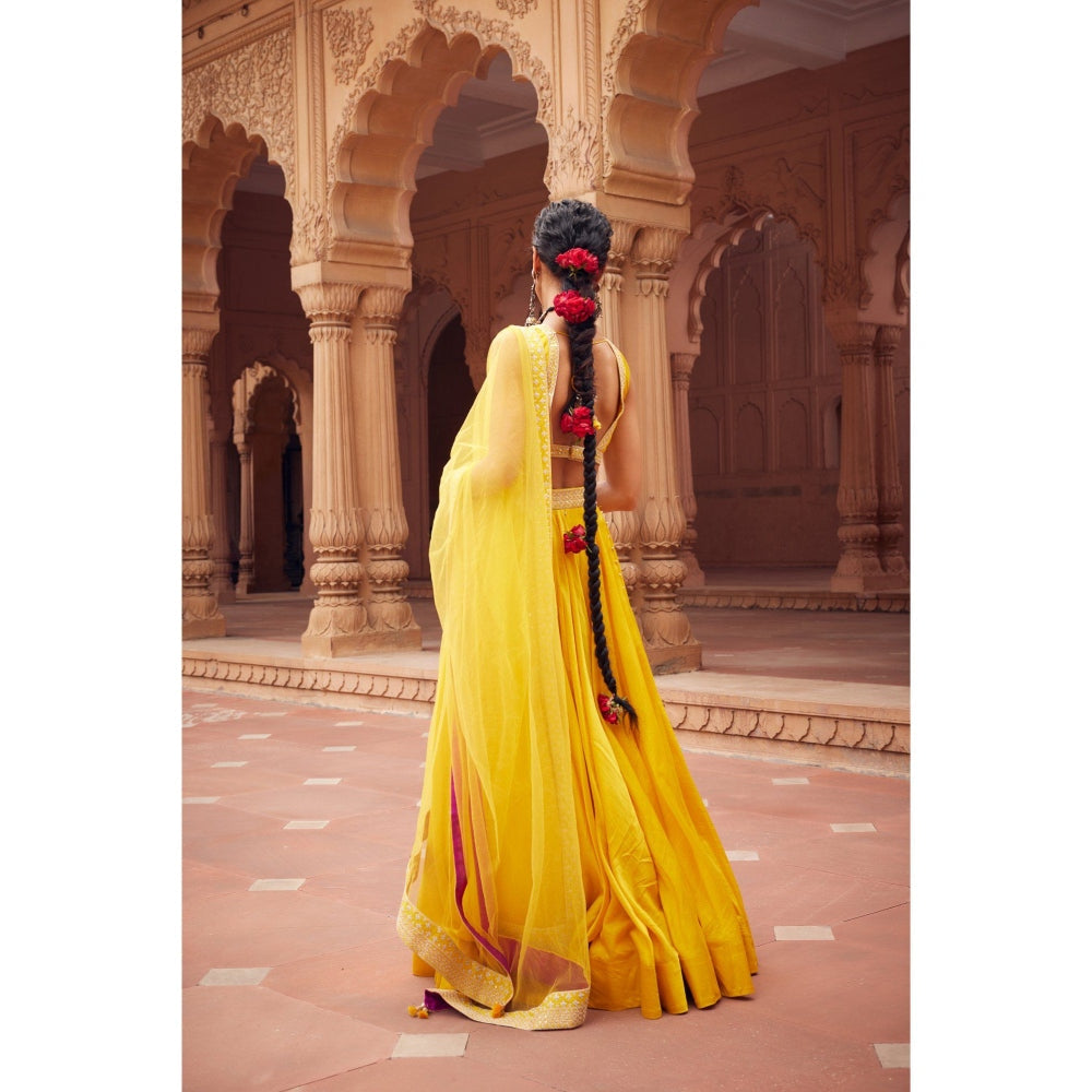 Seema Anand Dariya Lehenga with Choli and Dupatta (Set of 3)