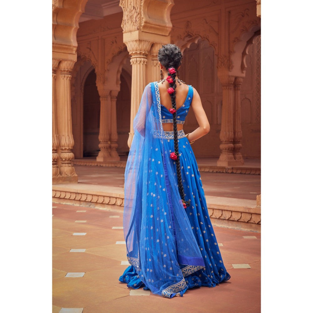 Seema Anand Ozza Lehenga with Choli and Dupatta (Set of 3)