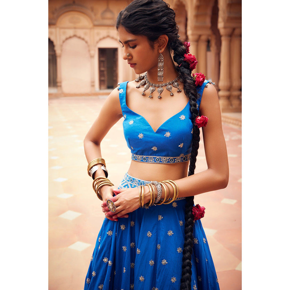 Seema Anand Ozza Lehenga with Choli and Dupatta (Set of 3)