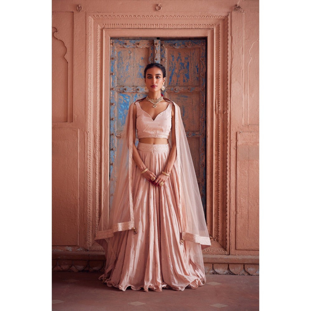 Seema Anand Parkha Lehenga with Choli and Dupatta (Set of 3)