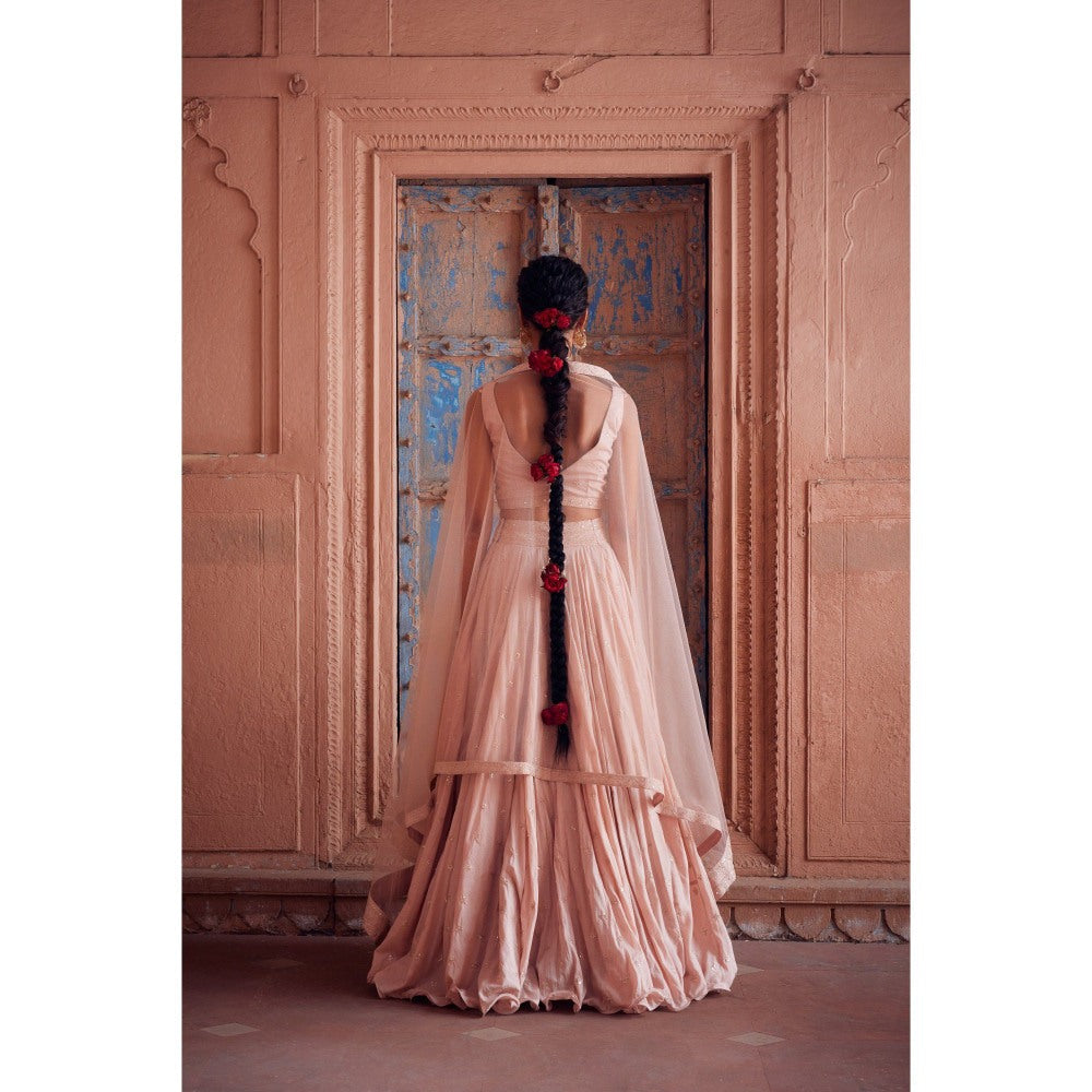 Seema Anand Parkha Lehenga with Choli and Dupatta (Set of 3)