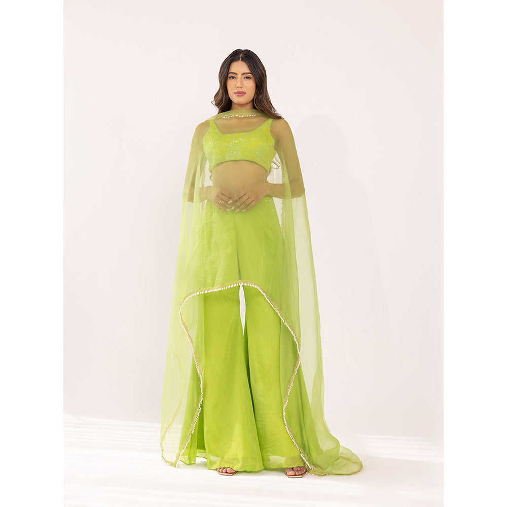SHAAKHA Green Embroidered Sleeveless Square Neck Crop Top With Palazzo & Dupatta (Set of 3)