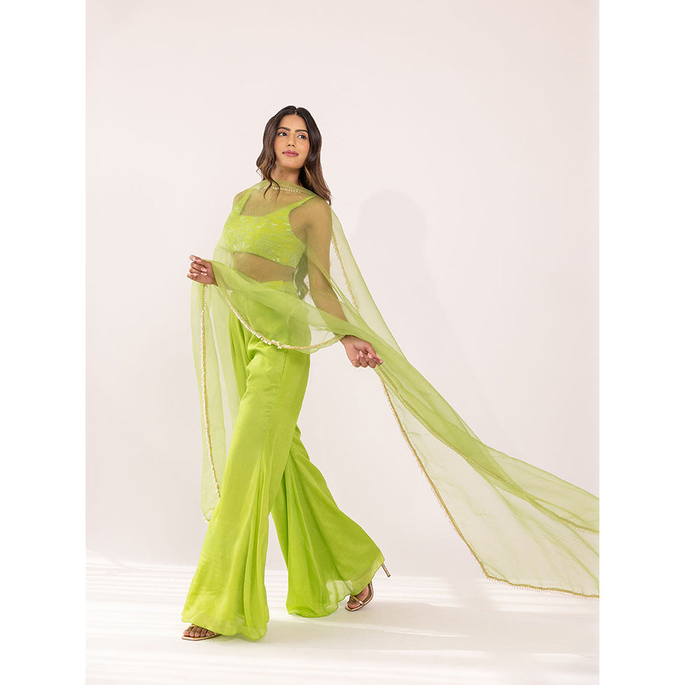 SHAAKHA Green Embroidered Sleeveless Square Neck Crop Top With Palazzo & Dupatta (Set of 3)