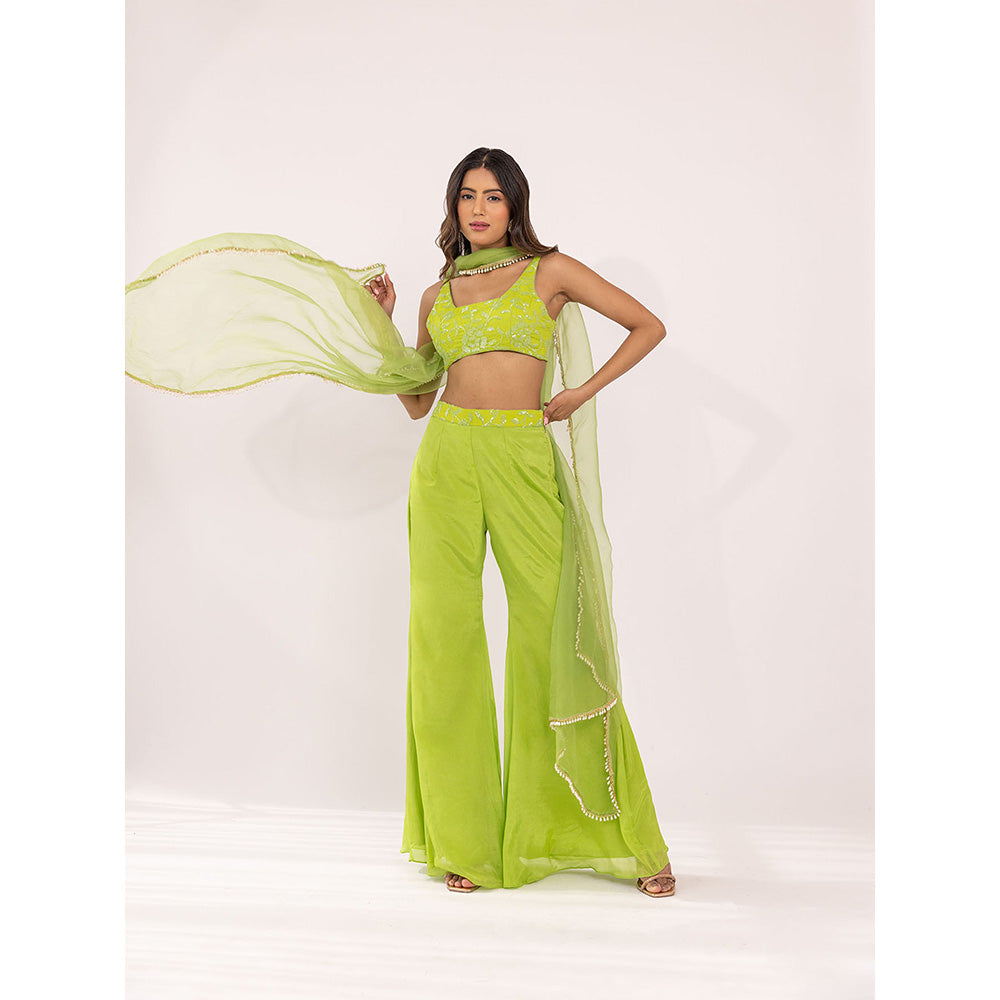 SHAAKHA Green Embroidered Sleeveless Square Neck Crop Top With Palazzo & Dupatta (Set of 3)