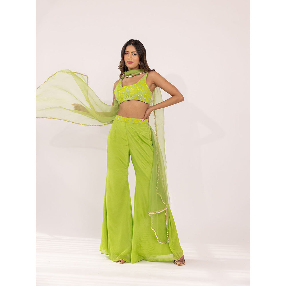 SHAAKHA Green Embroidered Sleeveless Square Neck Crop Top With Palazzo & Dupatta (Set of 3)