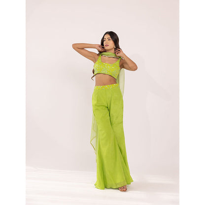 SHAAKHA Green Embroidered Sleeveless Square Neck Crop Top With Palazzo & Dupatta (Set of 3)