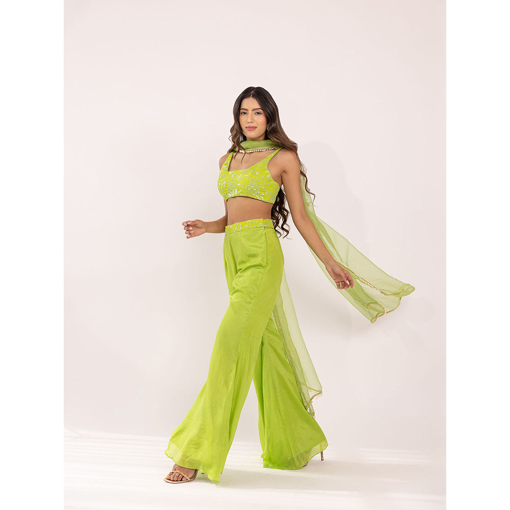 SHAAKHA Green Embroidered Sleeveless Square Neck Crop Top With Palazzo & Dupatta (Set of 3)