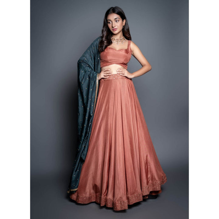 Shahmeen Husain Peach Zari Lehenga (Set of 3)