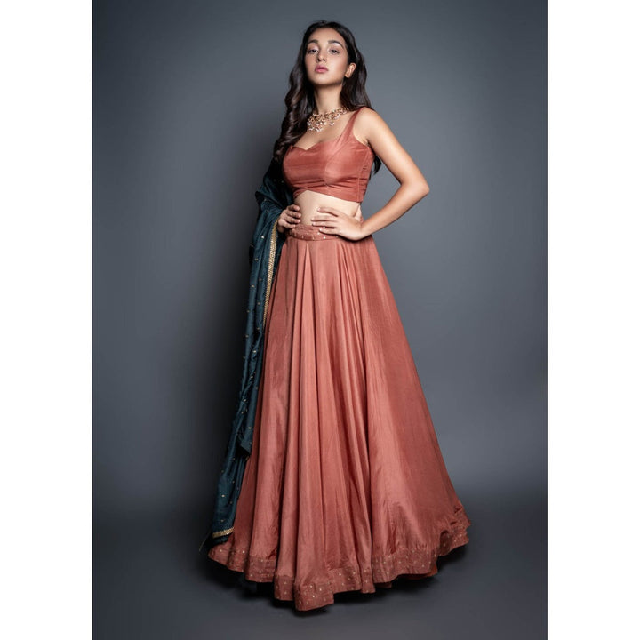 Shahmeen Husain Peach Zari Lehenga (Set of 3)