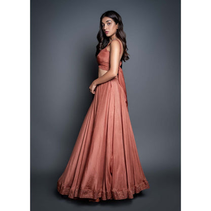 Shahmeen Husain Peach Zari Lehenga (Set of 3)