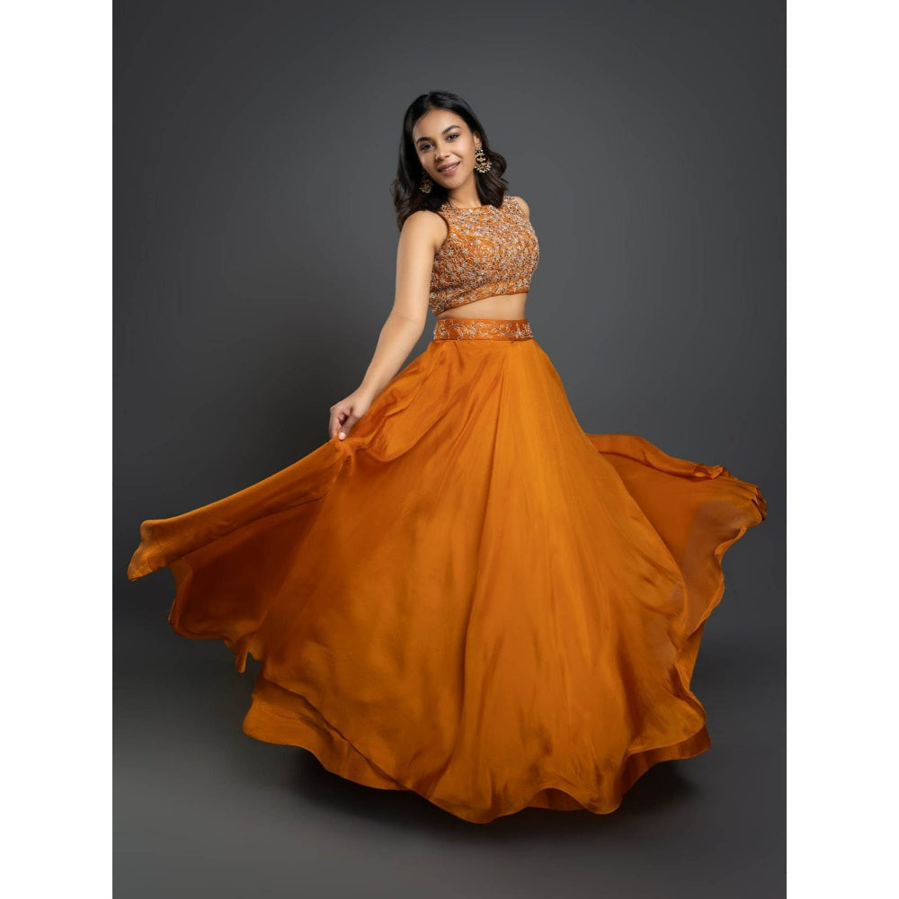 Shahmeen Husain Orange Embellished Lehenga (Set of 3)