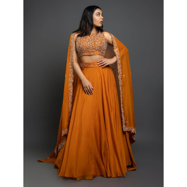 Shahmeen Husain Orange Embellished Lehenga (Set of 3)