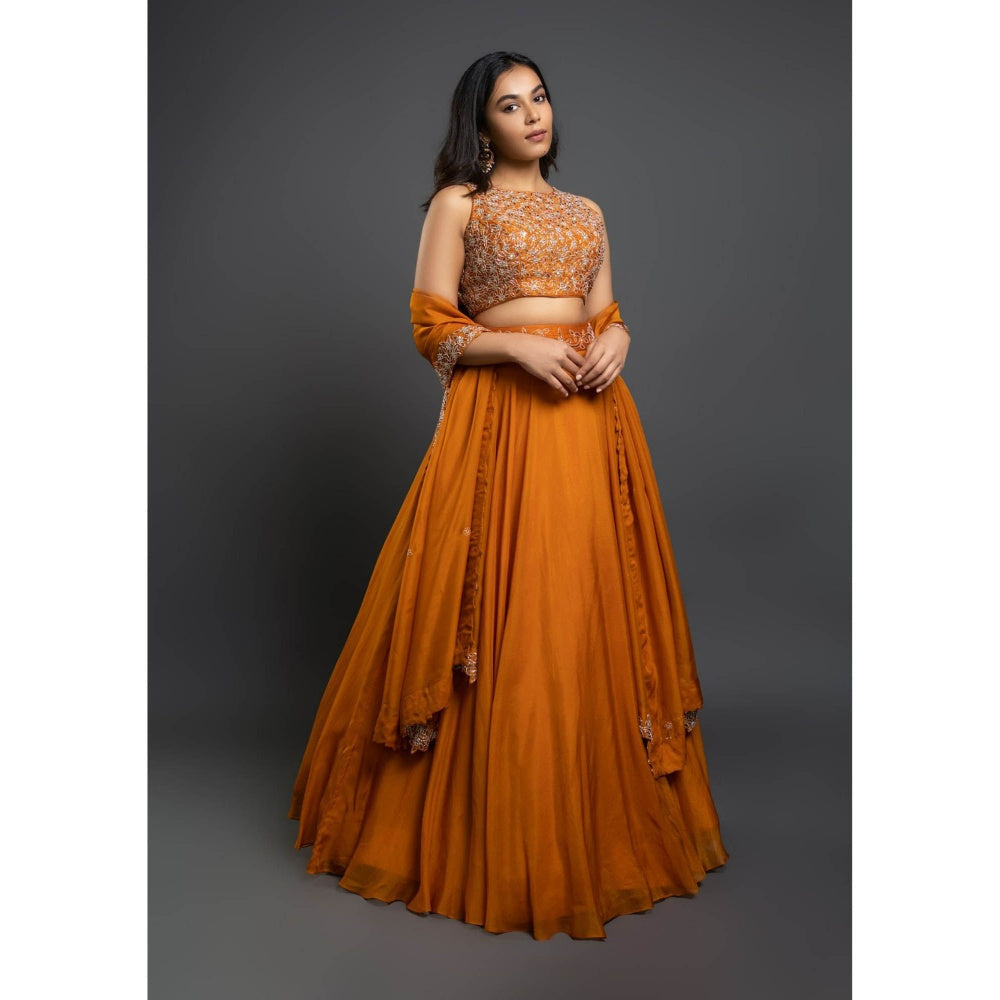 Shahmeen Husain Orange Embellished Lehenga (Set of 3)