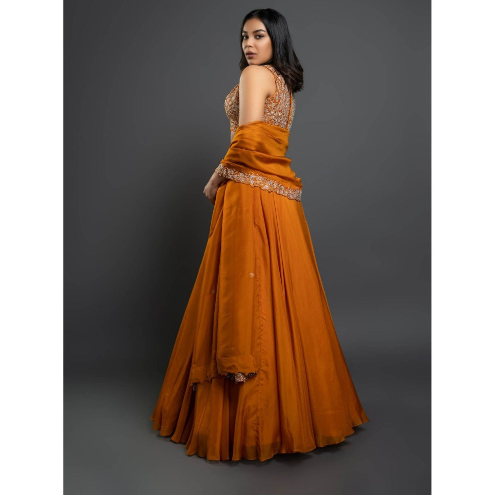 Shahmeen Husain Orange Embellished Lehenga (Set of 3)