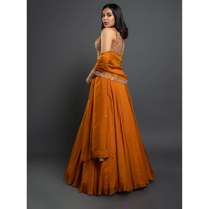 Shahmeen Husain Orange Embellished Lehenga (Set of 3)