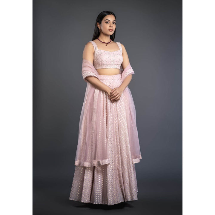 Shahmeen Husain Powder Pink Foil Printed Lehenga (Set of 3)