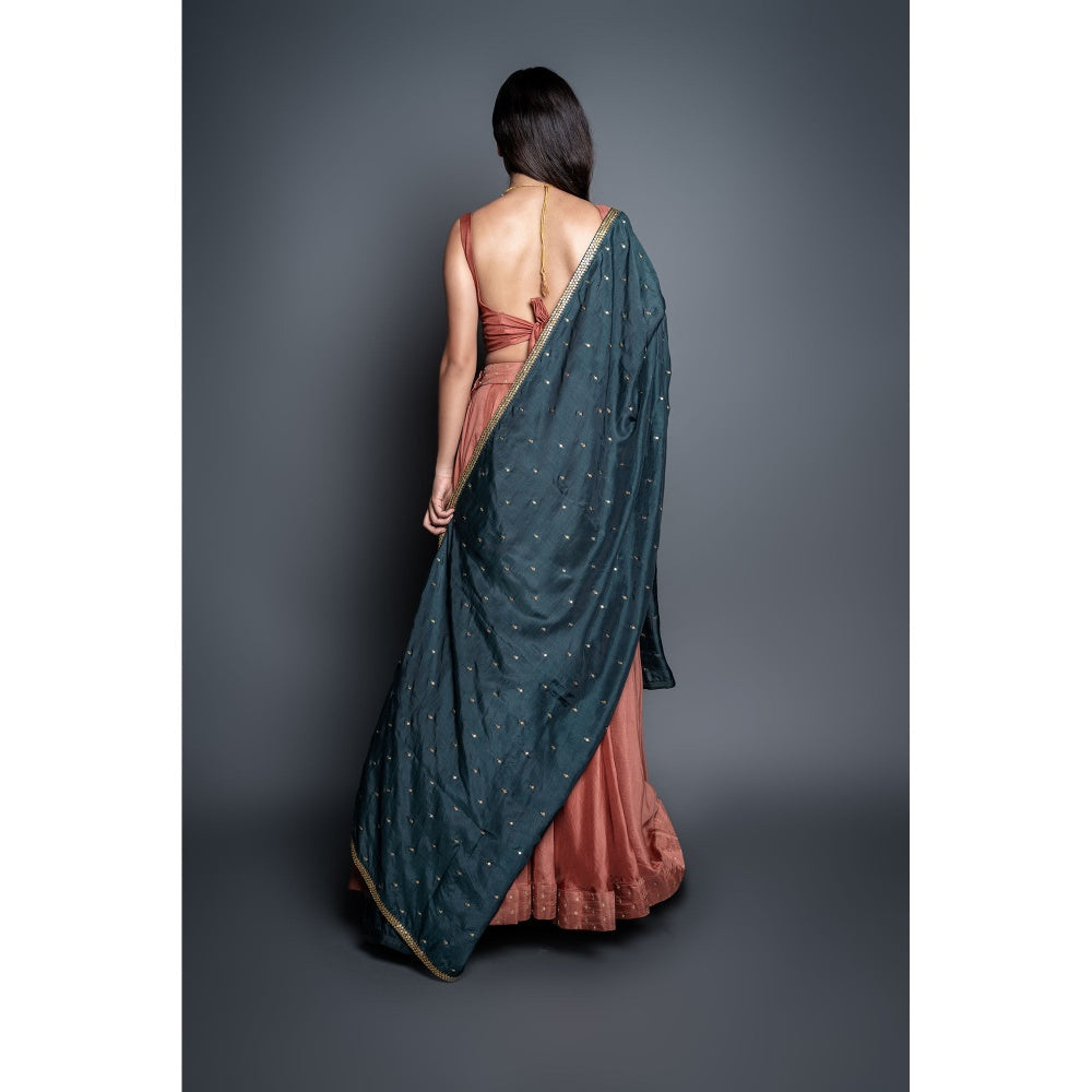 Shahmeen Husain Bronze & Bottle Green Zari Lehenga Blouse& Dupatta (Set of 3)
