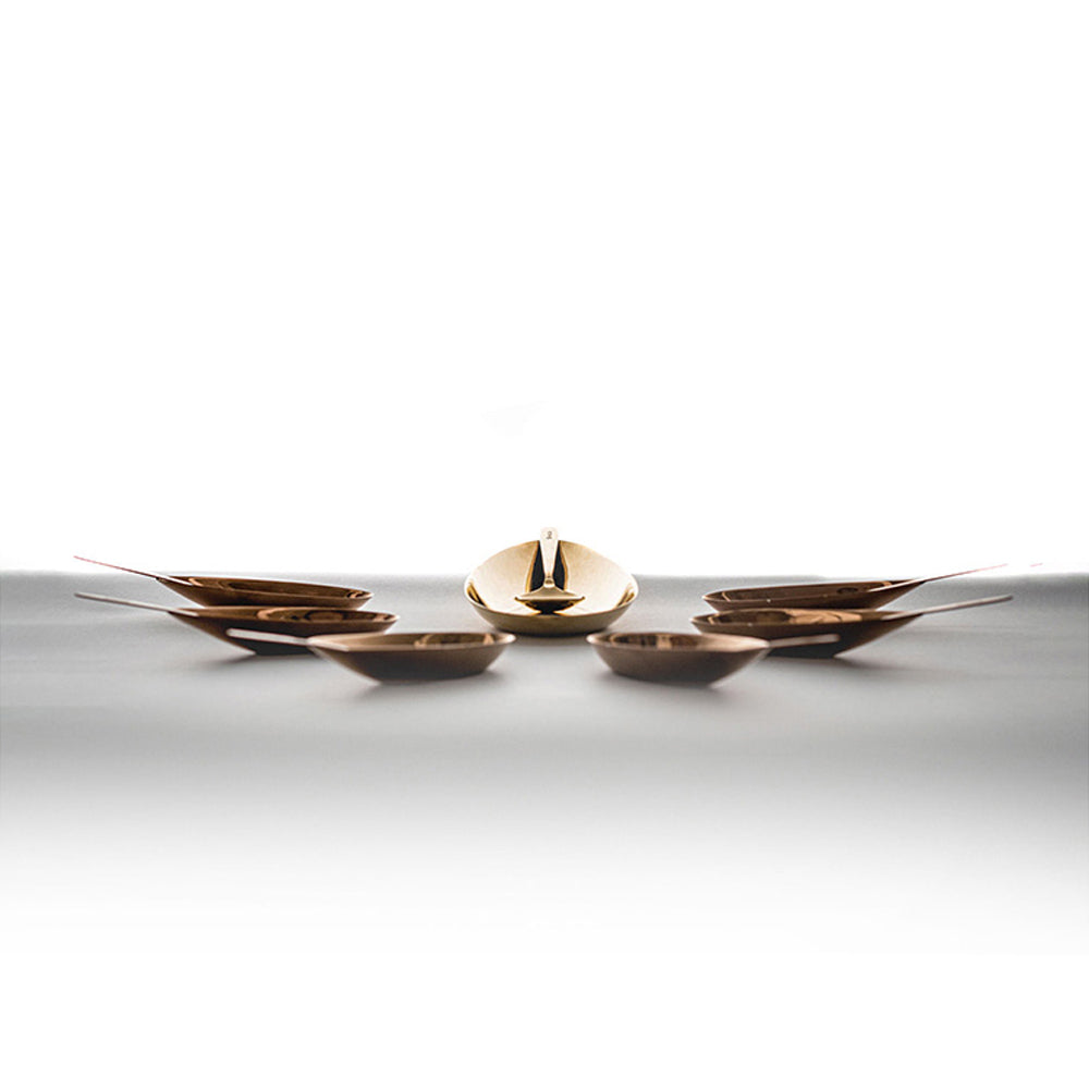 Shaze Stainless Steel The Comet Serving Tray