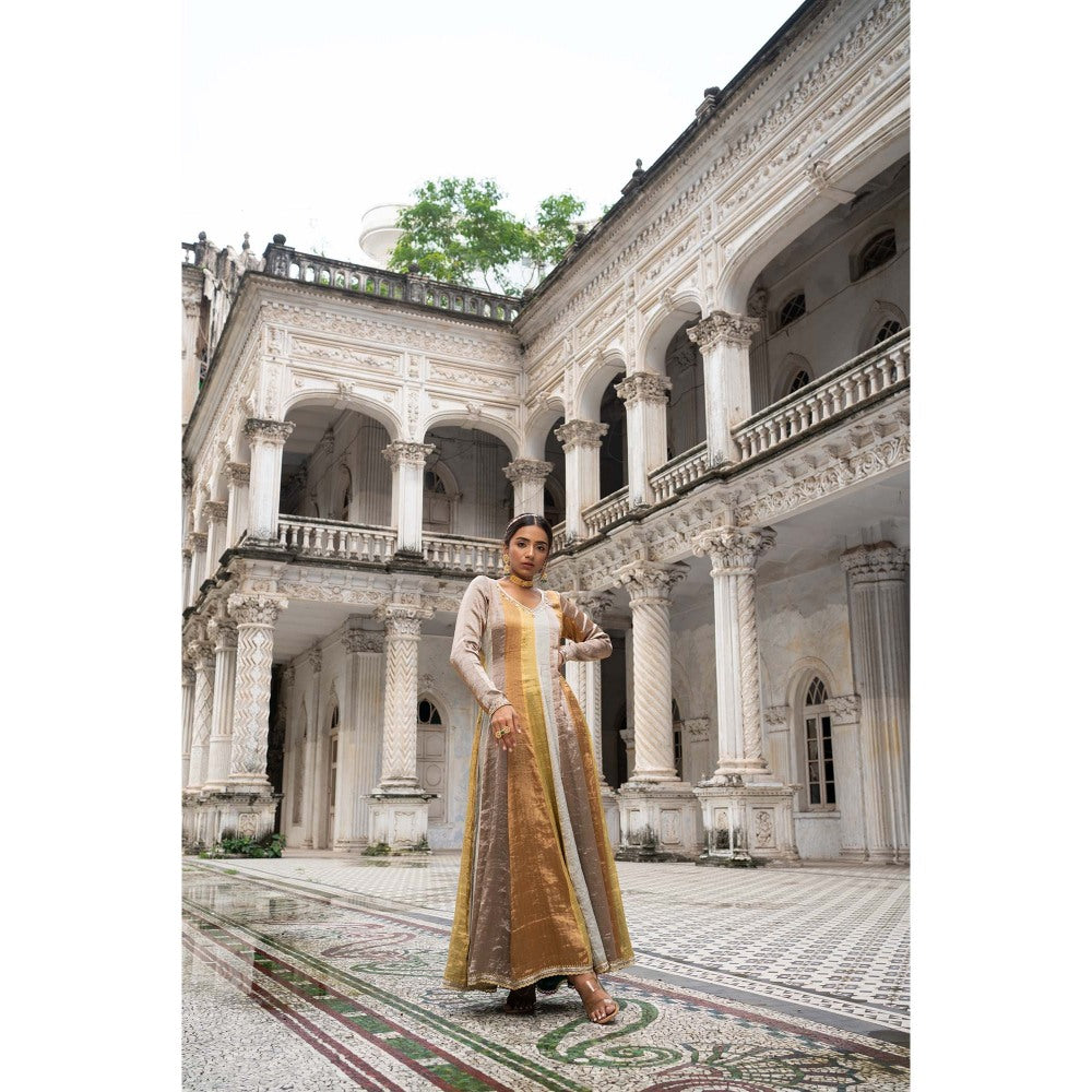Sheela Suthar Multi-Colour Signature Tissue Anarkali with Pant and Dupatta (Set of 3)