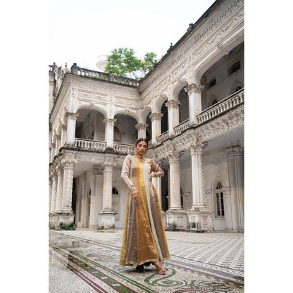 Sheela Suthar Multi-Colour Signature Tissue Anarkali with Pant and Dupatta (Set of 3)