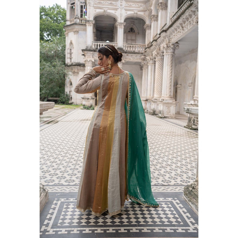 Sheela Suthar Multi-Colour Signature Tissue Anarkali with Pant and Dupatta (Set of 3)