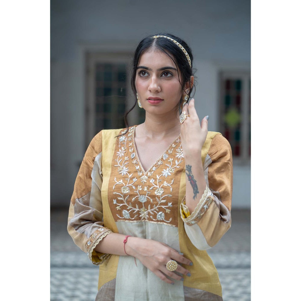 Sheela Suthar Multi-Colour Signature Tissue Maxi Dress