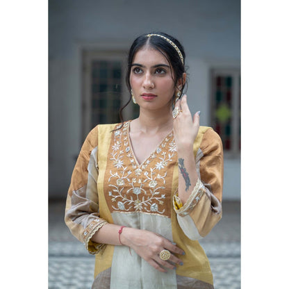 Sheela Suthar Multi-Colour Signature Tissue Maxi Dress