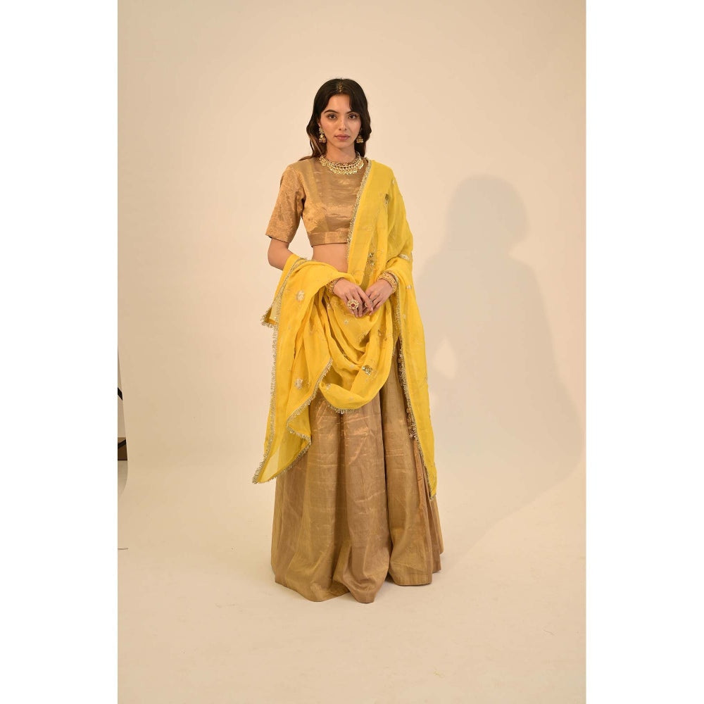 Sheela Suthar Zari Gold Lehenga with Blouse, Dupatta and Cancan Skirt (Set of 4)