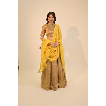 Sheela Suthar Zari Gold Lehenga with Blouse, Dupatta and Cancan Skirt (Set of 4)