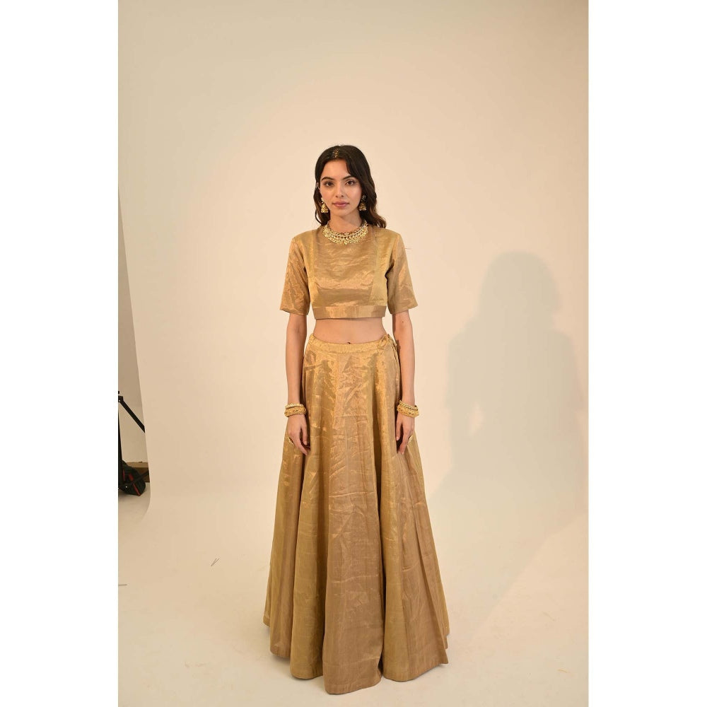 Sheela Suthar Zari Gold Lehenga with Blouse, Dupatta and Cancan Skirt (Set of 4)