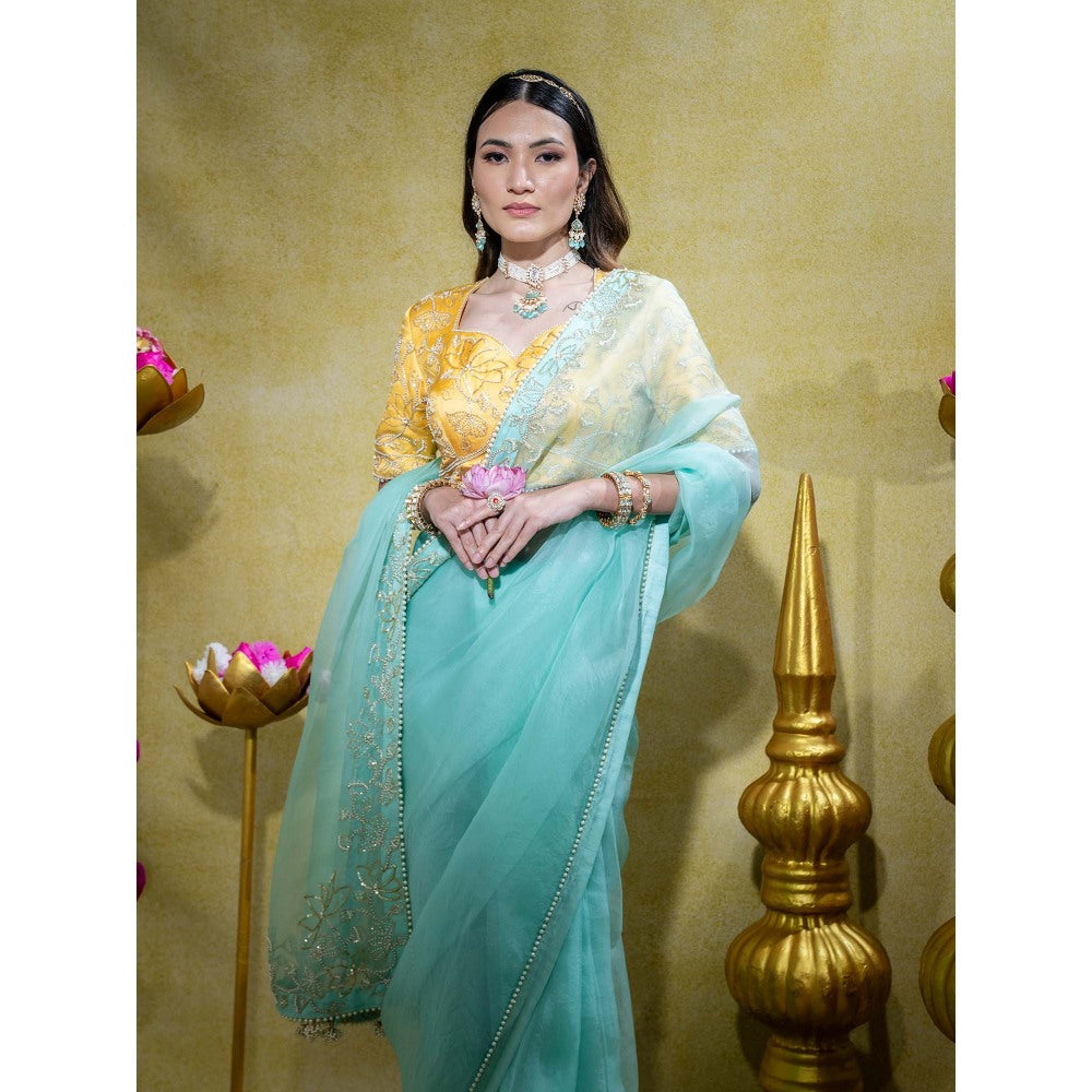Sheela Suthar Blue Embroidered Saree with Stitched Blouse
