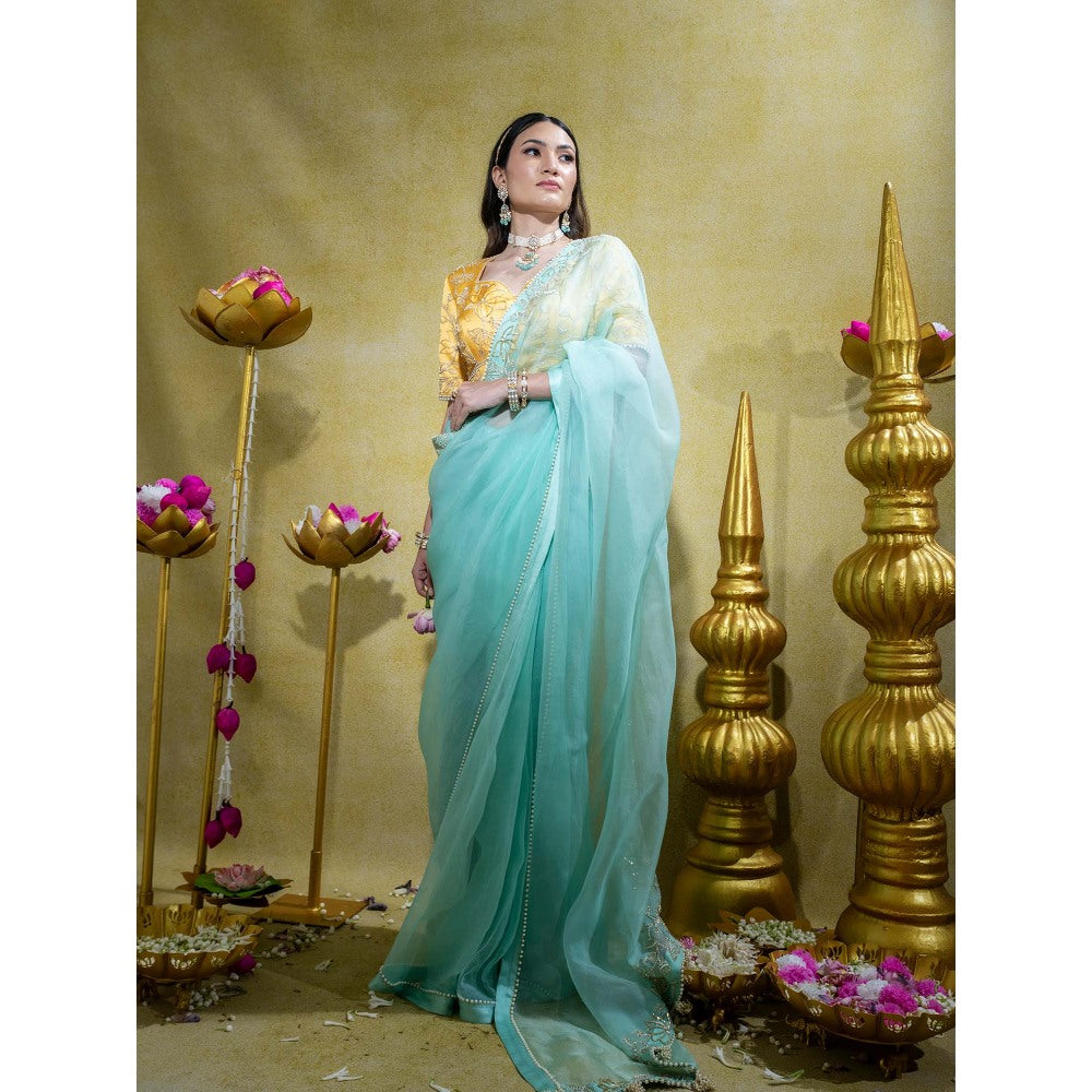 Sheela Suthar Blue Embroidered Saree with Stitched Blouse