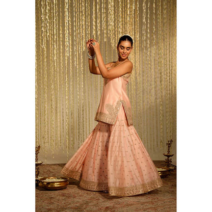 Sheetal Batra Aabroo Kurta & Sharara Pant with Dupatta-Pink (Set of 3)