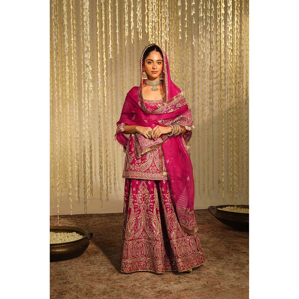 Sheetal Batra Mazneen Kurta & Sharara Pant with Dupatta-Pink (Set of 3)