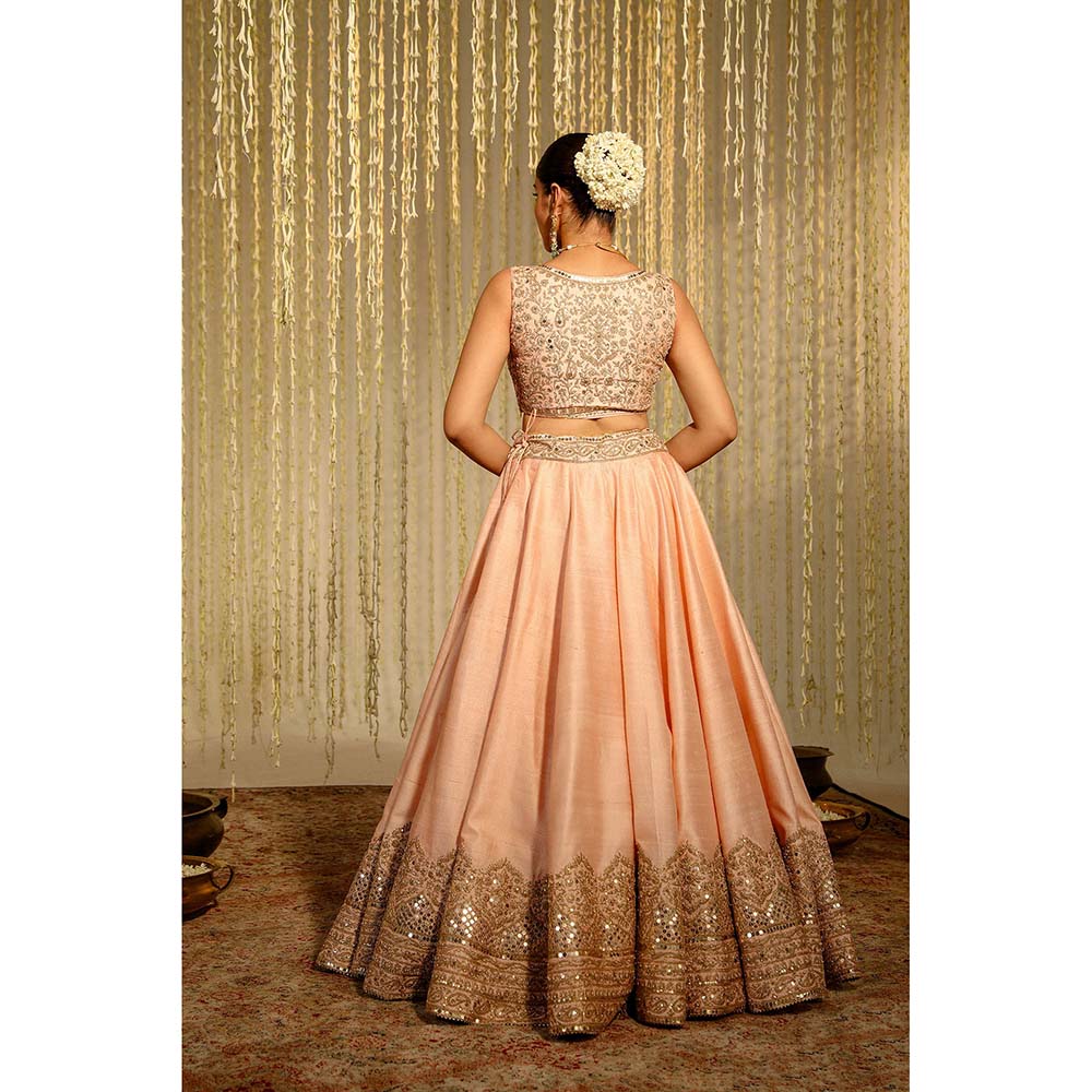 Sheetal Batra Aasiya Lehenga & Blouse with Dupatta-Pink (Set of 3)