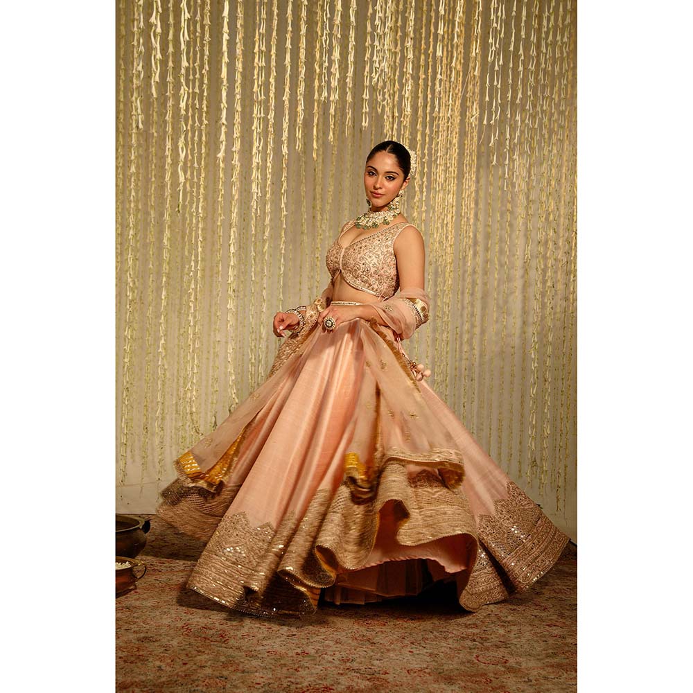 Sheetal Batra Aasiya Lehenga & Blouse with Dupatta-Pink (Set of 3)