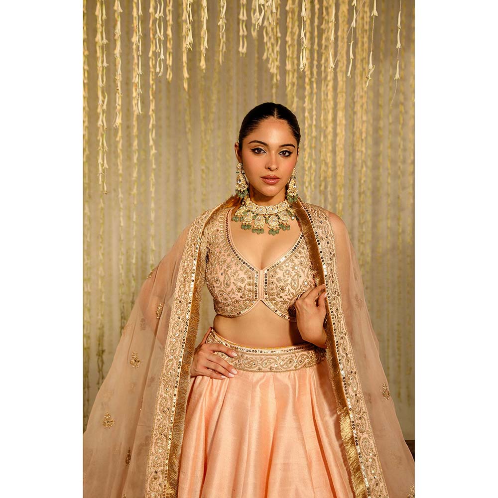 Sheetal Batra Aasiya Lehenga & Blouse with Dupatta-Pink (Set of 3)