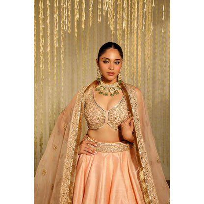 Sheetal Batra Aasiya Lehenga & Blouse with Dupatta-Pink (Set of 3)