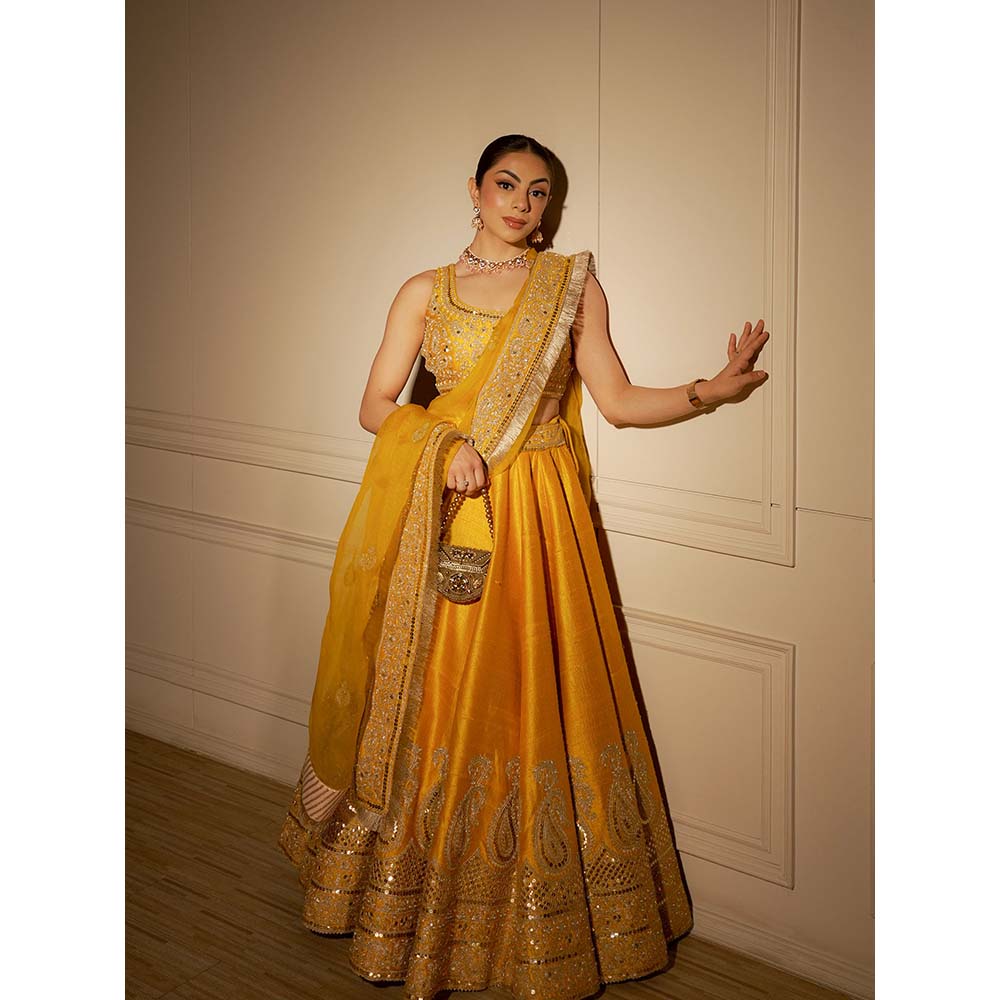 Sheetal Batra Amna Lehenga & Blouse with Dupatta-Mustard (Set of 3)